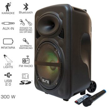 300 watt sales portable bluetooth speaker